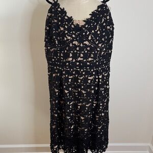 City Chic Black Lace Midi Dress